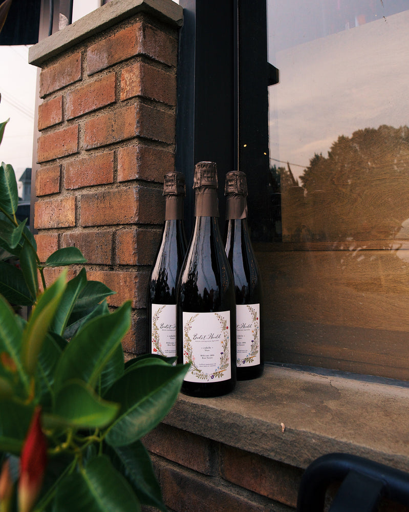 The Selosse of Crémant de Loire