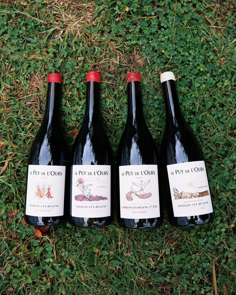 One of Burgundy’s most exciting young domaines