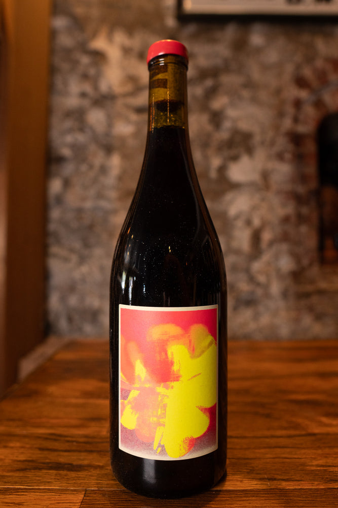 Walter Salvano Freisa 2023